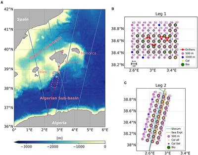 Fine-Scale <mark class="highlighted">Ocean Currents</mark> Derived From in situ Observations in Anticipation of the Upcoming SWOT Altimetric Mission